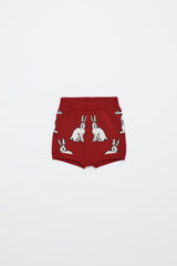 INTARSIA RABBIT KNIT SHORT RED